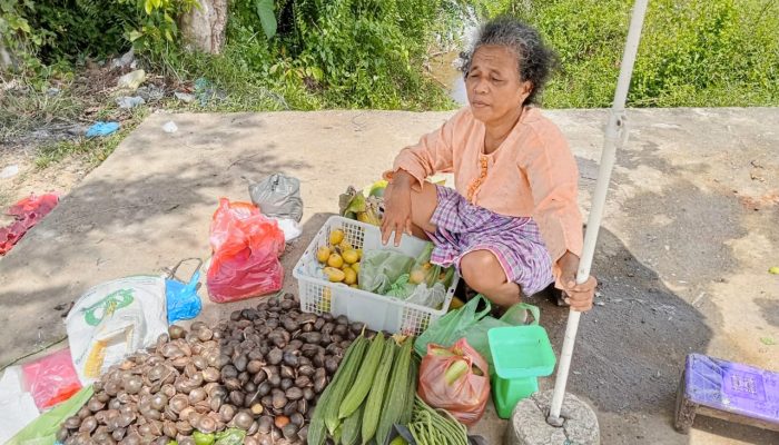 Pasar Pandan 20 Tahun Terbengkalai, Pedagang Tetap Berjualan Meski Sepi Pembeli