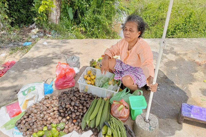 Boru Aritonang (61), seorang pedagang di Pasar Pandan Tapteng yang tetap menjajakan jualan meski kondisi sepi, Sabtu (4/1). Foto: Topikseru.com/ Jasman Julius