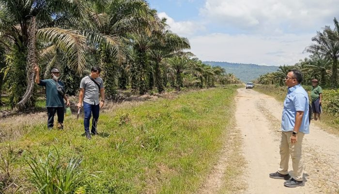 Polres Tapteng dan BPN Cek Lahan Budhisohki Yang Diduga Diserobot PT CPA