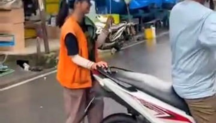 Viral Mahasiswi UI Jadi Juru Parkir di Sumut, Alasannya Bikin Haru!