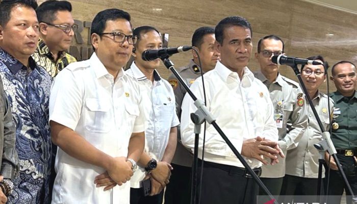 Pemerintah akan Serap 3 Juta Ton Beras dari Petani