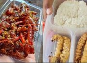 Kontroversi Menu Serangga: Apakah Ini Pilihan Tepat untuk Gizi Anak?