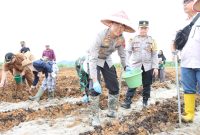 Kapolres Tapteng AKBP Wahyu Endrajaya membuka penanaman jagung perdana Polres Tapteng