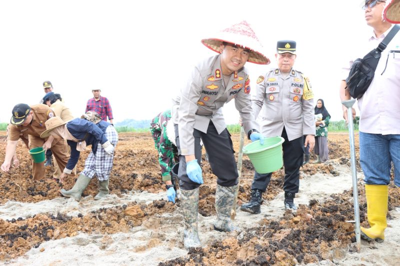 Kapolres Tapteng AKBP Wahyu Endrajaya membuka penanaman jagung perdana Polres Tapteng