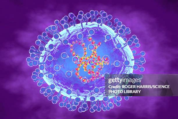 Ilustrasi virus HMPV. Foto: Getty Images 