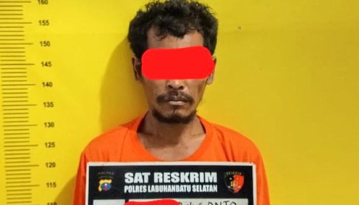 Ayah Bejat di Labusel Dibekuk Polisi, Tega Rudapaksa Anak Kandung Hingga Hamil