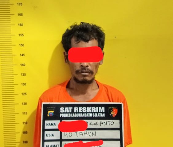Tersangka pencabulan anak kandung hingga melahirkan diamankan Polres Labusel. Foto: Dok. Humas Polres Labusel