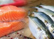 Ternyata, Ikan Kembung Bisa Menyaingi Salmon! Cek Faktanya Berikut