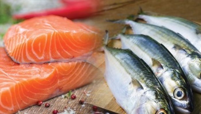 Ternyata, Ikan Kembung Bisa Menyaingi Salmon! Cek Faktanya Berikut