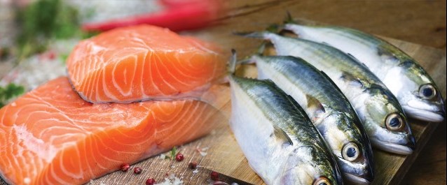 Gizi Ikan Salmon vs Ikan Kembung