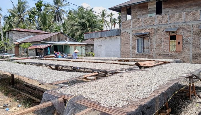 Nelayan Bagan Pancang di Tapteng Semringah Hasil Tangkapan Kembali Normal