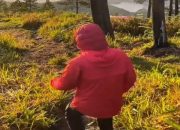 Tragedi di Puncak Carstensz: Dua Pendaki Meninggal, Fiersa Besari Selamat