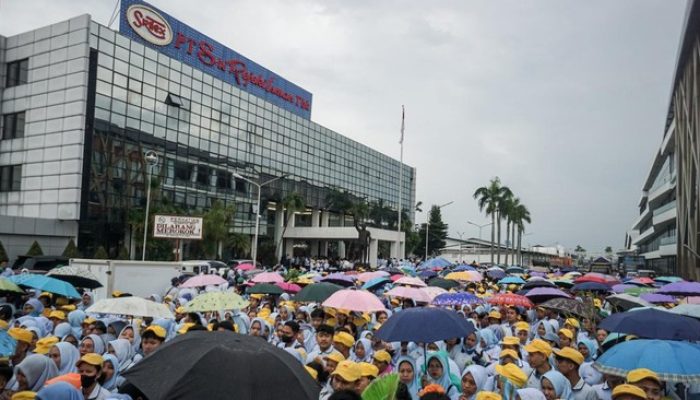 Besaran Aset Sritex yang akan Dikuasai Kurator Setelah Dinyatakan Bangkrut dan PHK Ribuan Karyawan