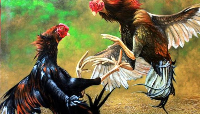 Polisi Gerebek Rumah Anggota DPRD Asahan Terkait Judi Sabung Ayam