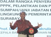 BKN Telah Menyelesaikan Penetapan NIP Terhadap 42 Instansi