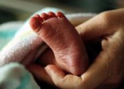 Kesaksian Warga Soal Dugaan Perdagangan Bayi: Polisi Tangkap Oknum Bidan