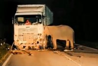 Potongan video memperlihatkan sang induk gajah berdiri tak bergeming di samping tubuh anaknya yang tergeletak di bawah truk. Foto: Tangkapan layar video