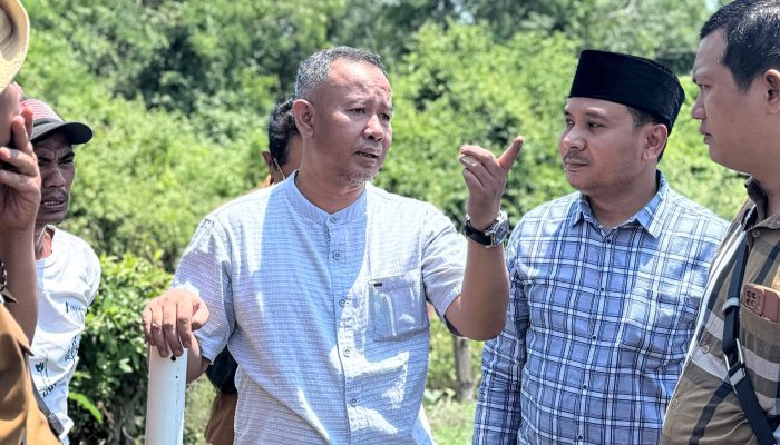 Ombudsman Sumut Pasang Patok Lahan di Kawasan Hutan Lindung yang Diserobot Perusahaan Tambak