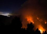 Israel Dilanda Kebakaran Hebat, 24 Warga Terluka