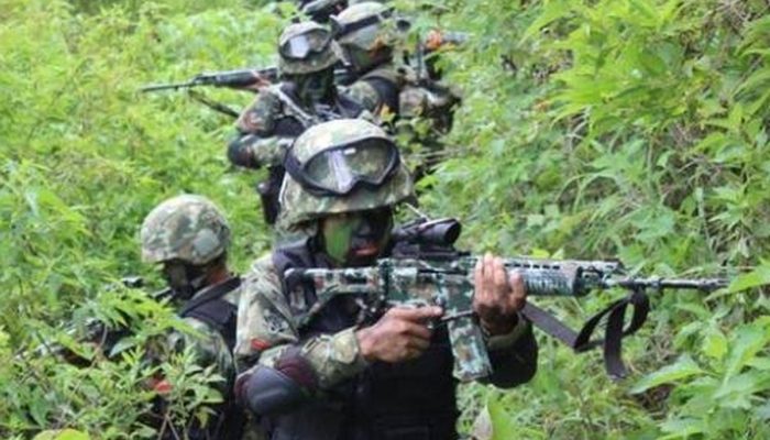 Kontak Tembak TNI dan KKB di Papua: Pimpinan KKB Tewas, Situasi Masih Tegang
