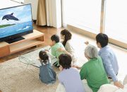 Jadwal Acara TV Hari Ini, Sabtu 14 Juni 2025 Stasiun TV Trans TV, ANTV, RCTI, GTV, MNCTV, Trans7, Indosiar, SCTV, dan MDTV