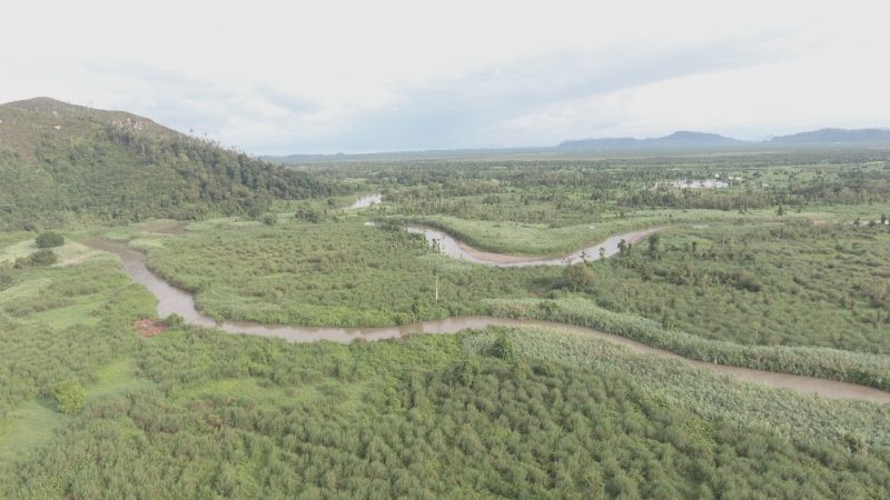 Ekosistem Batang Toru, Sumatera Utara, menyimpan nilai biodiversitas yang tinggi, rumah bagi flora dan fauna yang kharismatik, termasuk Orangutan Tapanuli yang baru ditemukan pada tahun 2017. Foto: Walhi.or.id