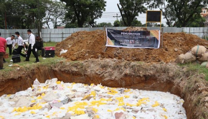 14,6 Ton Mangga Ilegal Asal Thailand Dimusnahkan di Medan, Diduga Bawa Larva Lalat Buah