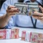 Petugas menunjukkan uang pecahan dolar AS dan rupiah di gerai penukaran mata uang asing di Jakarta. Foto: Antara