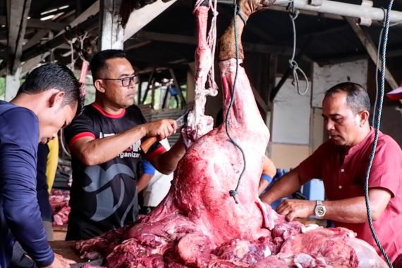 Ilustrasi pemotongan hewan kurban