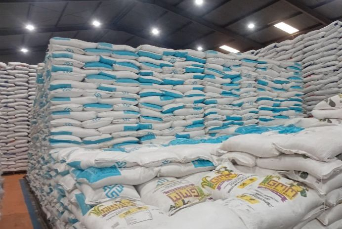Ilustrasi - Stok beras yang ada di gudang Perum Bulog Wilayah Sumut. Foto: Antara