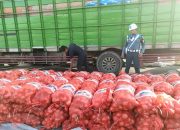 TNI AL Gagalkan Penyelundupan 11,1 Ton Bawang Bombay Ilegal di Ketapang
