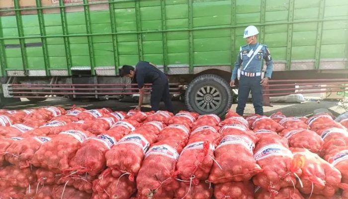 TNI AL Gagalkan Penyelundupan 11,1 Ton Bawang Bombay Ilegal di Ketapang