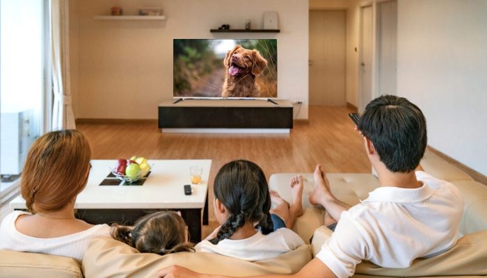 Jadwal Acara RTV Hari Ini Sabtu 28 Juni 2025: Jejak Raja Jawa, Kongsuni, STB, Besti, Grizzy & the Lemmings: The Movie