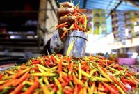 Pedagang menimbang cabai rawit di Pasar Liluwo, Kota Gorontalo, Gorontalo, Rabu (8/1/2024). Foto: Antara