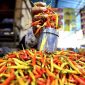 Pedagang menimbang cabai rawit di Pasar Liluwo, Kota Gorontalo, Gorontalo, Rabu (8/1/2024). Foto: Antara