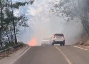 Kebakaran Hutan Tele Meluas, Wilayah Terdampak Hingga 50 Hektare Lahan