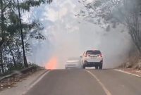 Penampakan kobaran api di hutan tele, Kabupaten Samosir, Sumut, pada Selasa (1/7). Foto: Tangkapan Layar Video