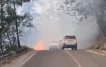 Kebakaran Hutan Tele