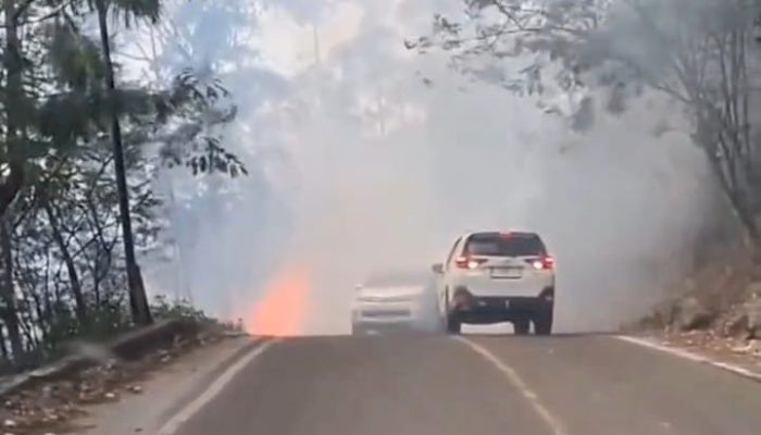 Kebakaran Hutan Tele Meluas, Wilayah Terdampak Hingga 50 Hektare Lahan