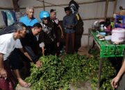 3 Pemuda Pencuri Cabai di Situbondo Ditangkap, Beraksi Gunakan Sepeda Listrik, Lihat Tuh Barang Buktinya!