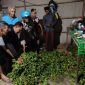 Barang bukti cabai hasil curian diamankan Satreskrim Polres Situbondo, Jawa Timur.