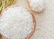 Kasus Beras Oplosan Merebak, Ini Ciri-Ciri dan Cara Memilih Beras yang Aman untuk Keluarga