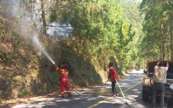 BMKG Deteksi 8 Titik Panas di Sumatera Utara, Warga Diimbau Hindari Pembakaran Lahan