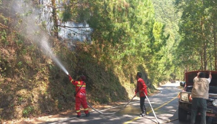 Hutan Tele Samosir Terbakar Sejak Senin, Api Tak Kunjung Padam