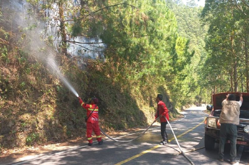 Pihak BPBD Samosir dan instansi terkait melakukan pemadaman api di kawasan hutan Tele, Samosir, Sumatera Utara. Foto: Dok BPBD Samosir