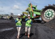 Dividen PTBA Rp 3,8 Triliun, Investor Terima Rp 332,44 Per Saham