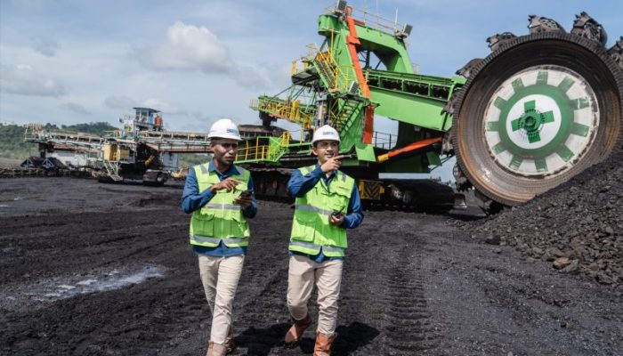 Dividen PTBA Rp 3,8 Triliun, Investor Terima Rp 332,44 Per Saham