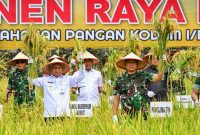 Wakil Gubernur (Wagub) Sumut Surya bersama Panglima TNI Agus Subiyanto panen raya padi di Lahan Ketahanan Pangan Kodam I B, Desa Perkebunan Ramunia. Foto: Diskominfo Sumut