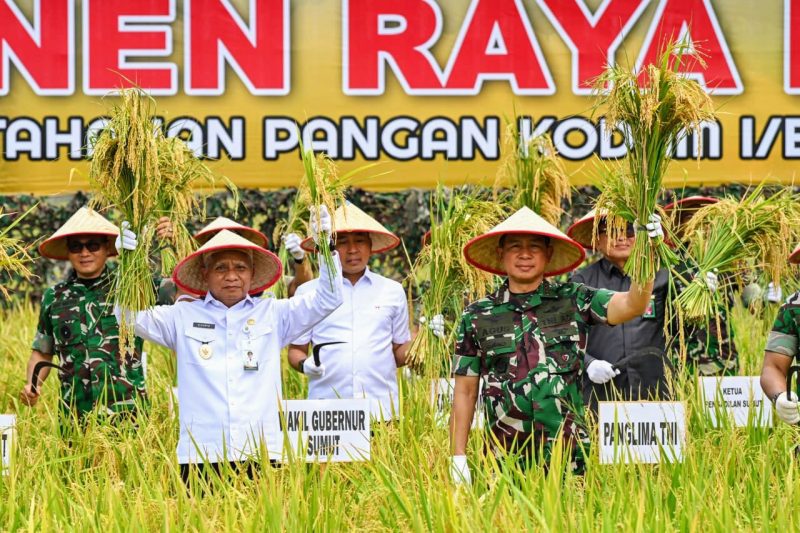 Wakil Gubernur (Wagub) Sumut Surya bersama Panglima TNI Agus Subiyanto panen raya padi di Lahan Ketahanan Pangan Kodam I B, Desa Perkebunan Ramunia. Foto: Diskominfo Sumut