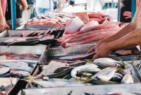 Pasar ikan Muara Angke